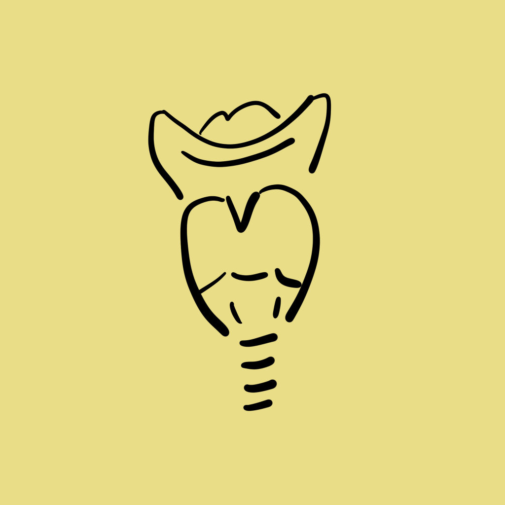Everything You Need to Know About the Human Voice: Key Insights and Concepts