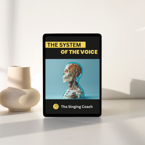 The system of the voice mock up